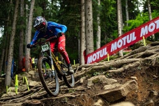 Bosco si veste d'azzurro