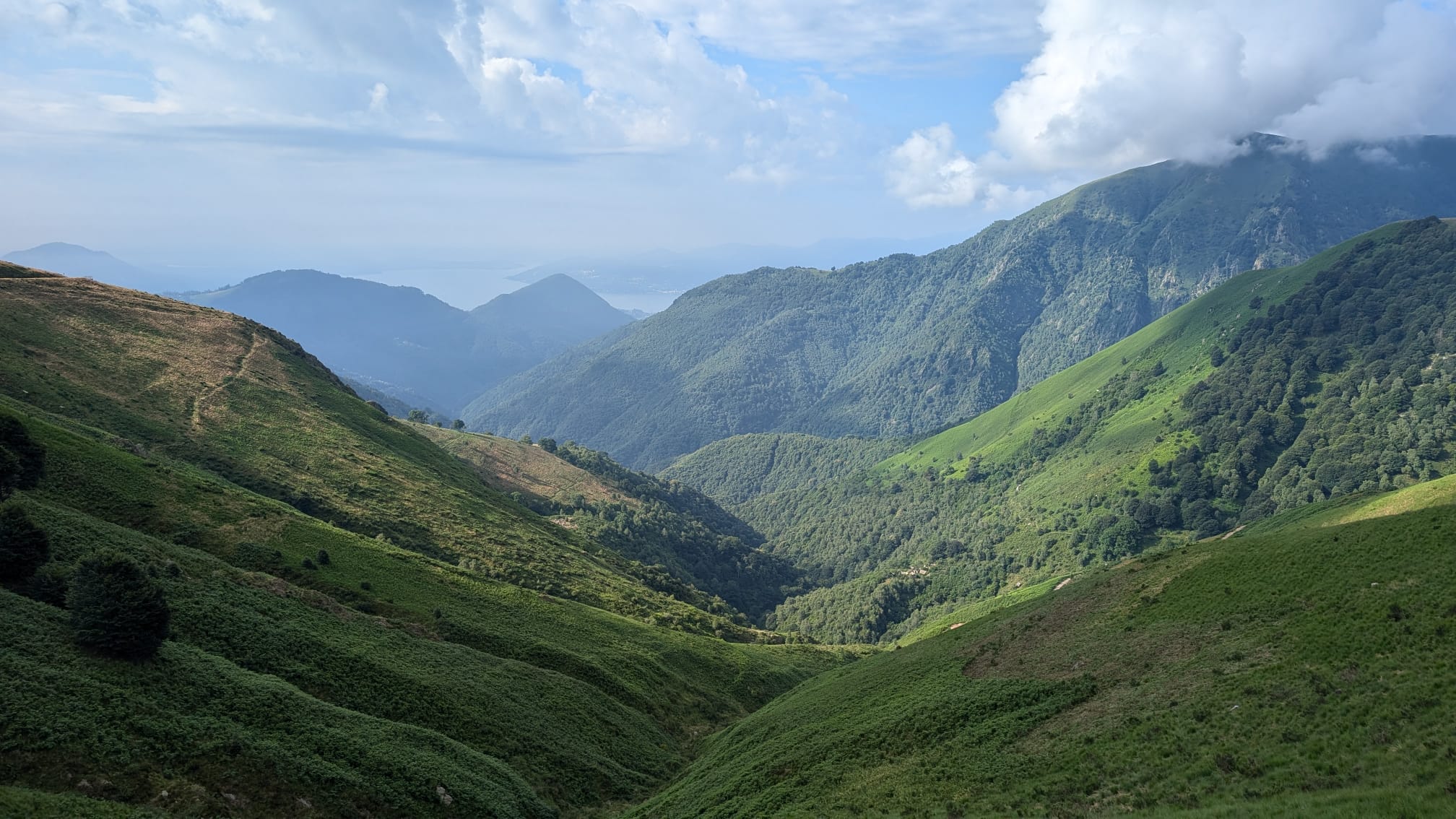 Partiti gli interventi di taglio della felce aquilina nel Parco Nazionale della Val Grande