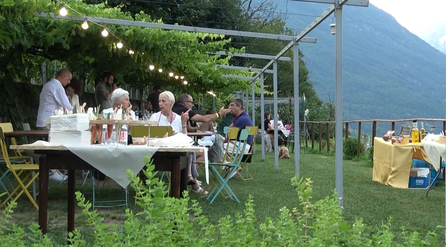 Festa d'estate in vigna con Ais Verbania presso la cantina di Edoardo Patrone a Domodossola