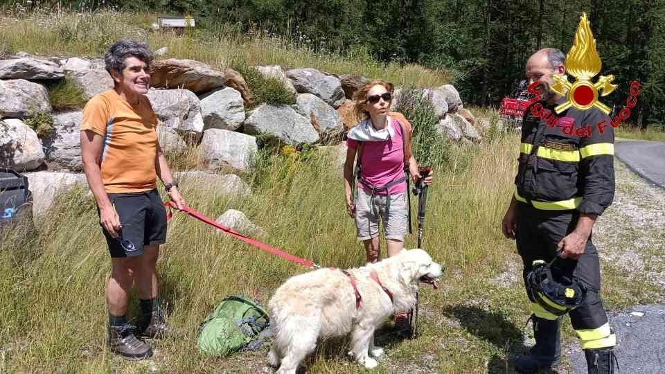 Golden Retriver sfugge ai proprietari e precipita per una decina di metri. Recuperato dai Vigili del fuoco con l'elicottero