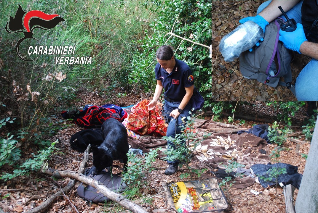Due arresti nel bosco della droga a Carpugnino