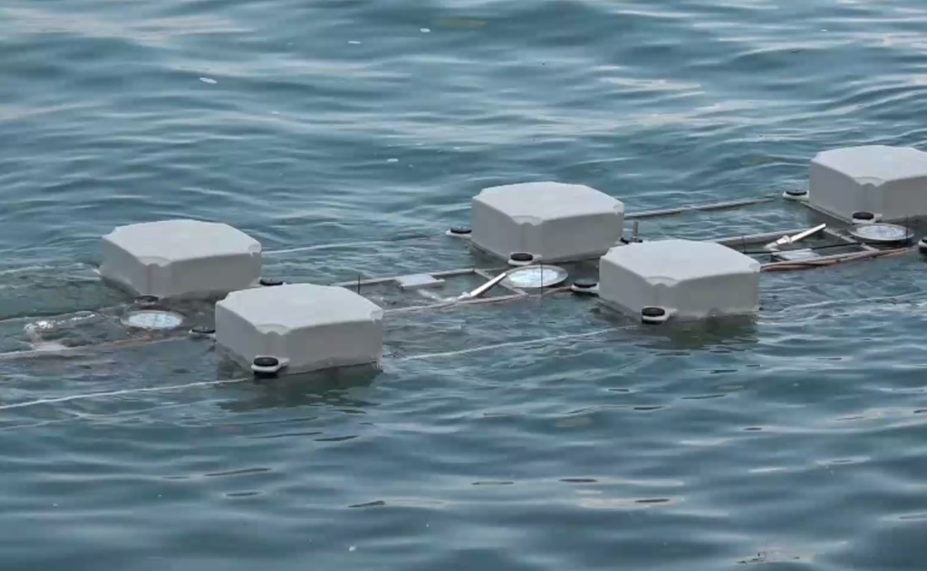 Da lunedì a Baveno il grande spettacolo delle fontane danzanti