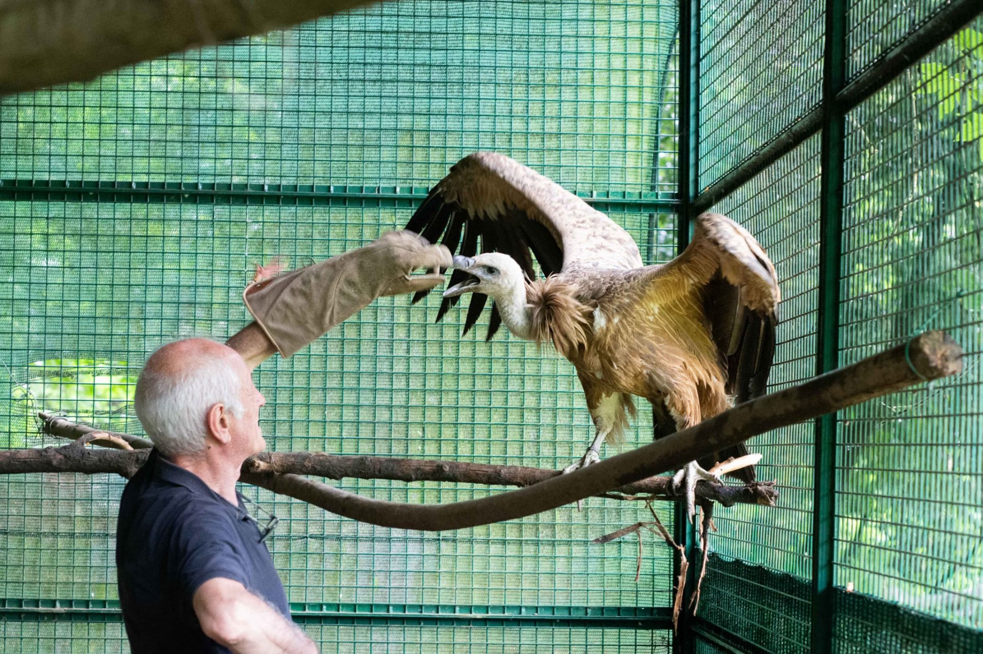 Nuovo Cras Vco, individuata un'area idonea a Gravellona Toce in parte già attrezzata
