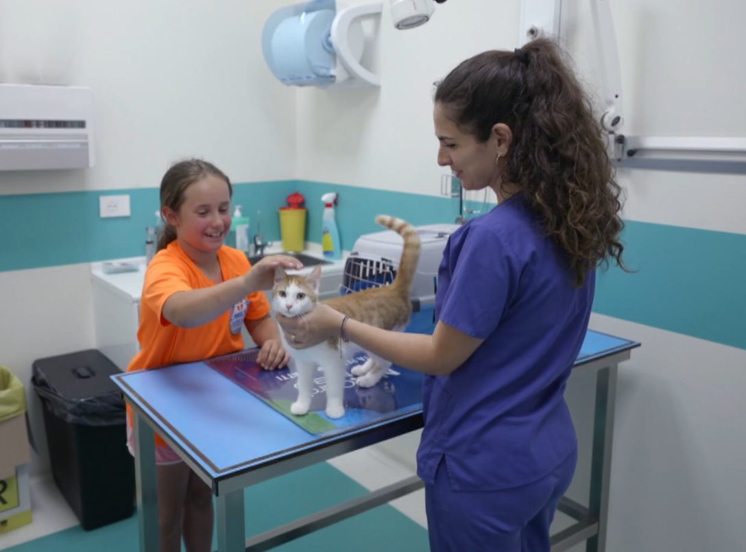 La vicenda del gatto Nuvolino a Storie a 4 zampe