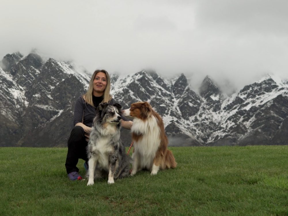 Come togliere le zecche dal cane a Storie a 4 zampe