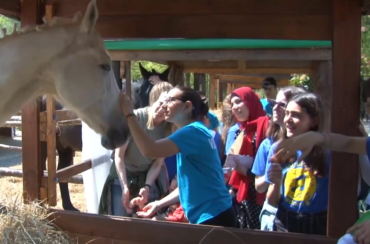 Il progetto cavallo amico e la Croce Verde di Verbania a L'infinito dentro un bisogno