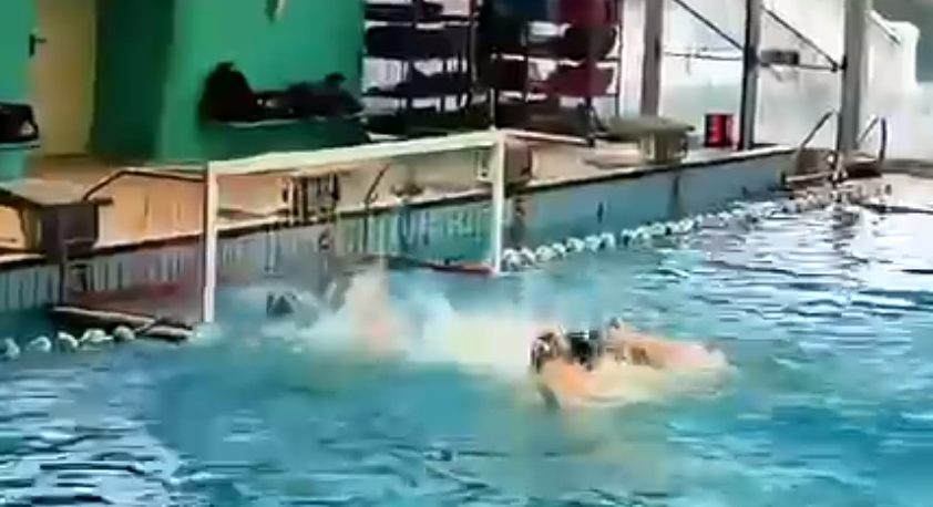 Pallanuoto, Omegna vittoriosa in trasferta contro H2O Sesto