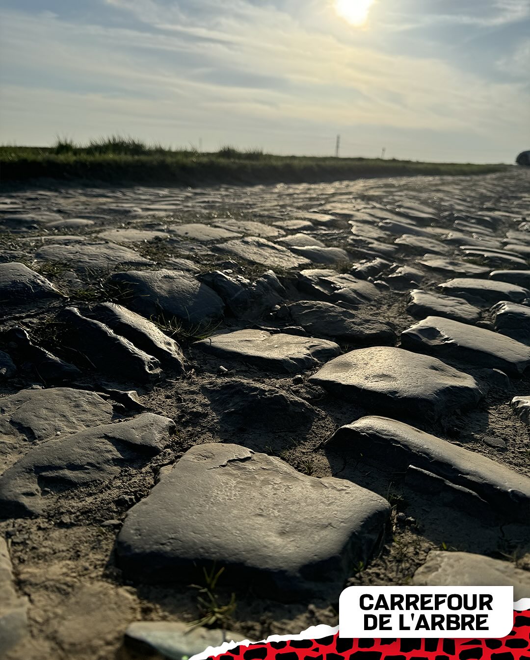 Ganna a Tuttobiciweb: “Non ho mai preparato bene la Parigi Roubaix come quest’anno"