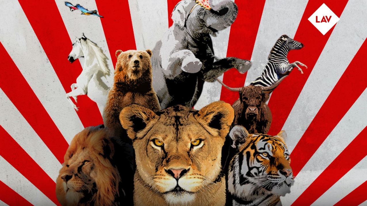 LAV: "L'ultimo spettacolo. Storia di una liberazione" di Andrea Morabito arriva a Cinelandia a Verbania l'8 e il 9 aprile