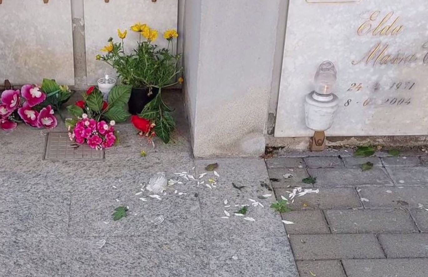 Dopo gli atti vandalici a Cireggio l’amministrazione installerà fototrappole