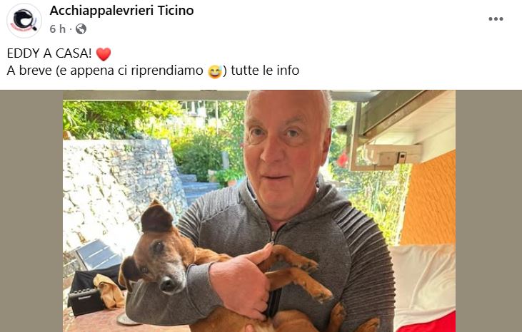 Ritrovata la cagnolina dispersa in valle Cannobina