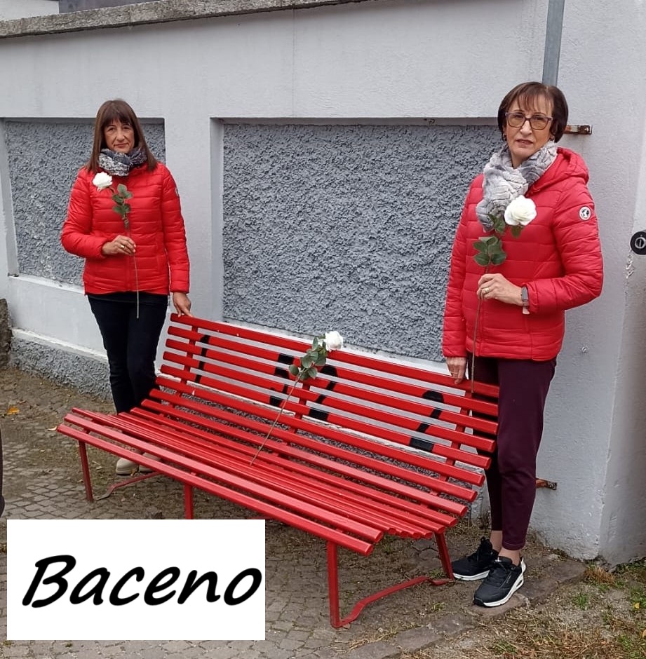 Una rosa bianca sulle panchine rosse: iniziativa del Movimento 5 Stelle nel Vco