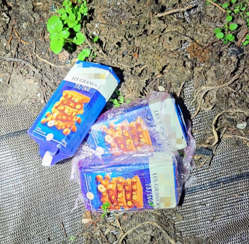 I Carabinieri suonano alla porta, giovane ossolano cerca di buttare tre etti di hashish dalla finestra e finisce in manette