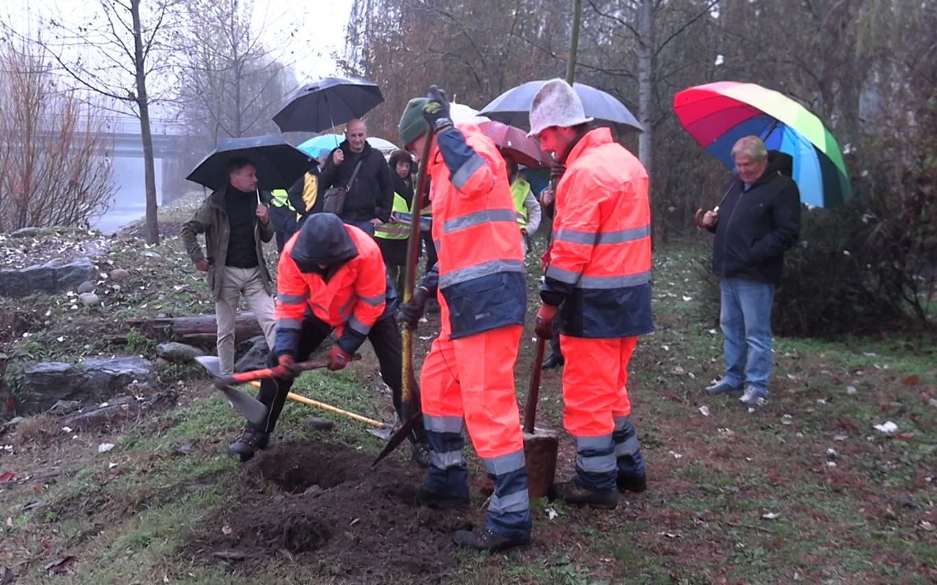 "Ricicliamo cellulari, piantiamo alberi"