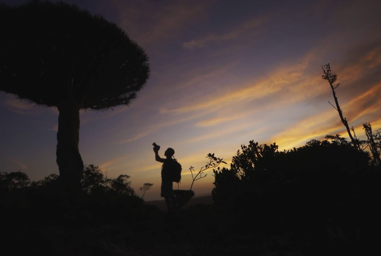 Passione viaggio : a caccia fotografica di gorilla di montagna in Uganda