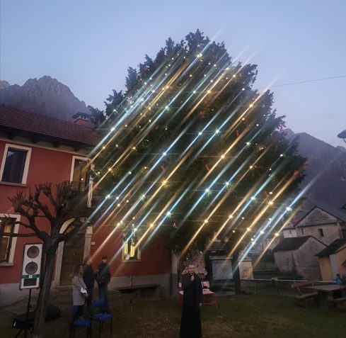 A Cuzzago l'albero che vuole illuminare le coscienze