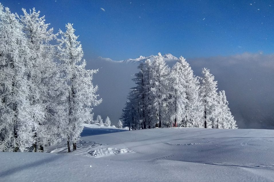 Domobianca 365 : da oggi aperta anche la seggiovia Casalavera