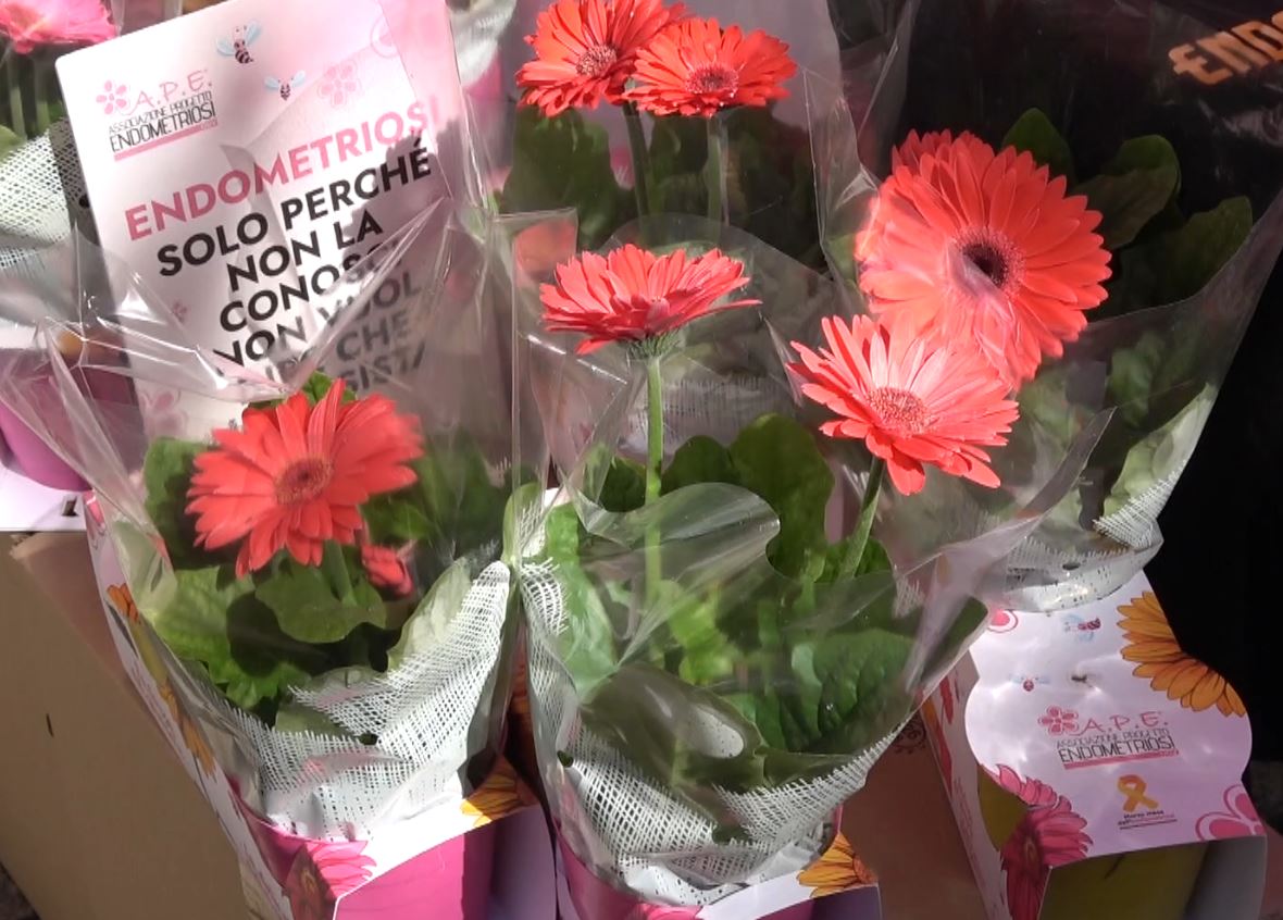 "I fiori della consapevolezza" con Associazione Progetto Endometriosi a Verbania