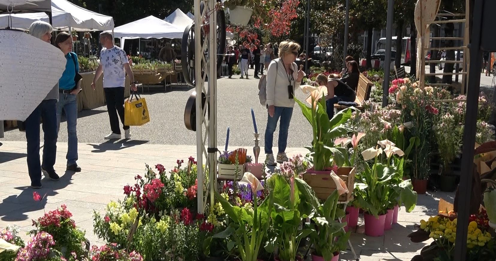 Mostra mercato di fiori e piante a Intra fino a Pasquetta