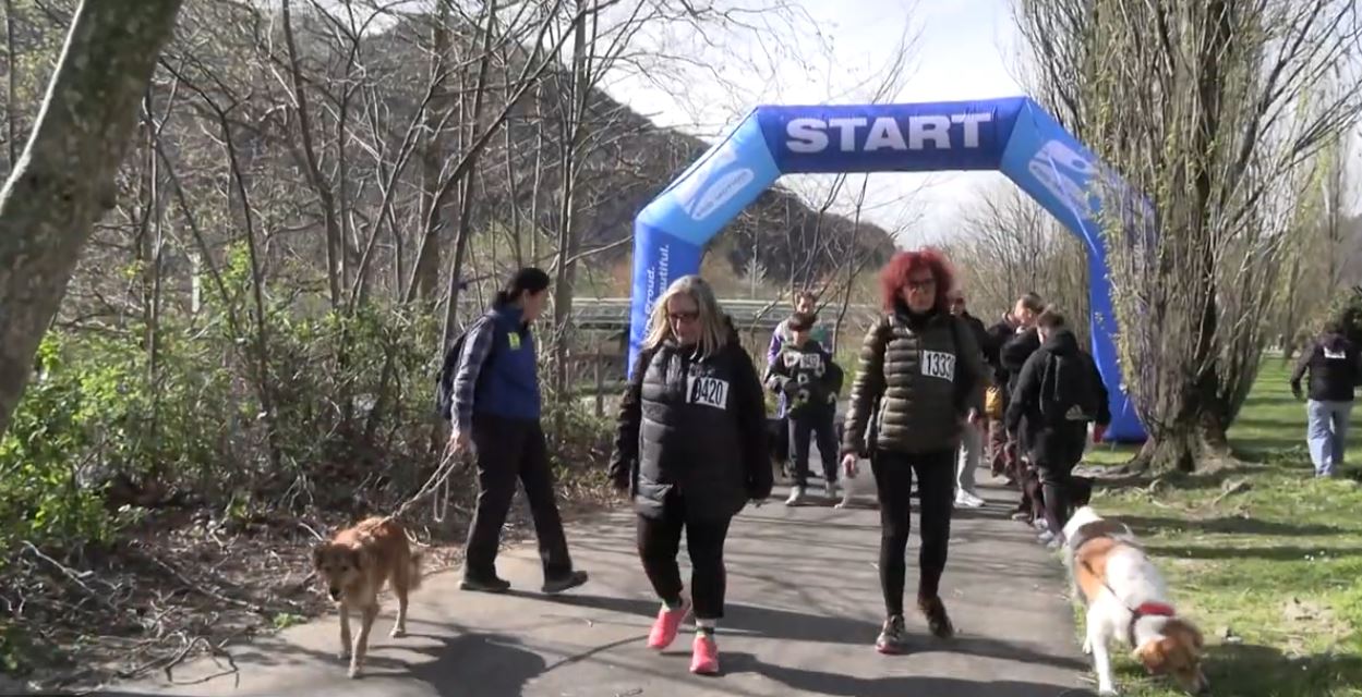Family e dog run con il Centro Commerciale Le Isole di Gravellona Toce