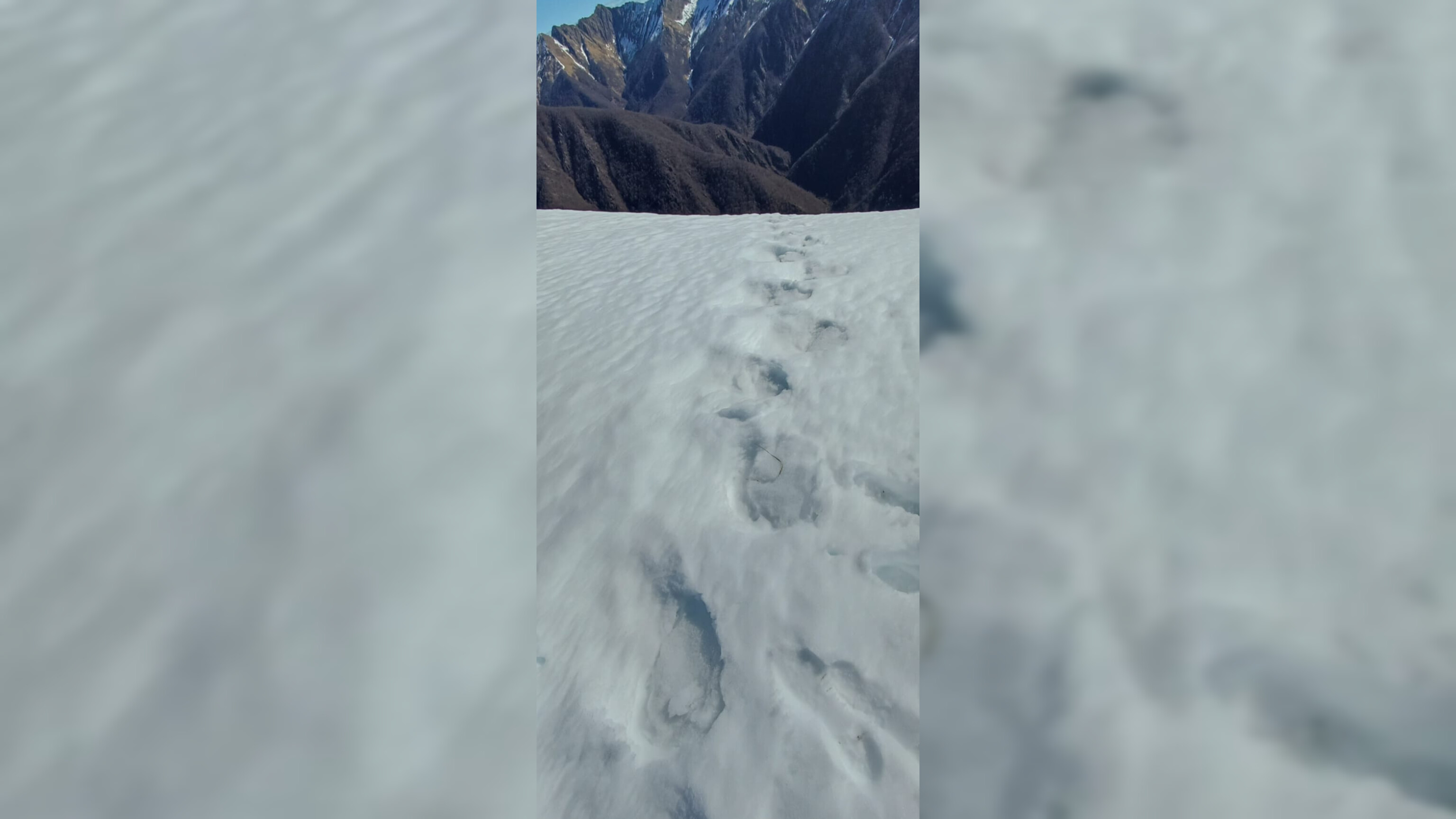 L'orso si è risvegliato, ecco le sue orme