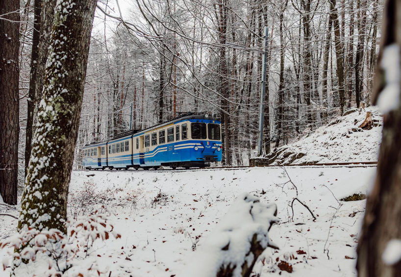La Ferrovia Vigezzina-Centovalli piace anche a Martin Scorsese