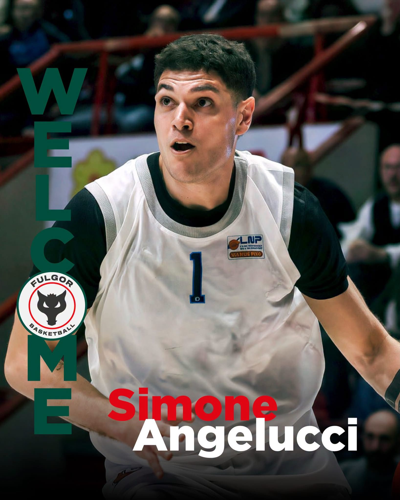 Immagine articolo