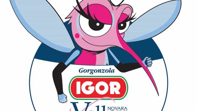 Immagine articolo