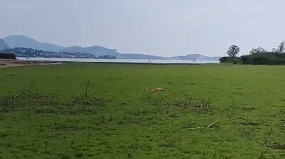 Piemonte, avvio delle procedure per la richiesta dello stato di calamità naturale