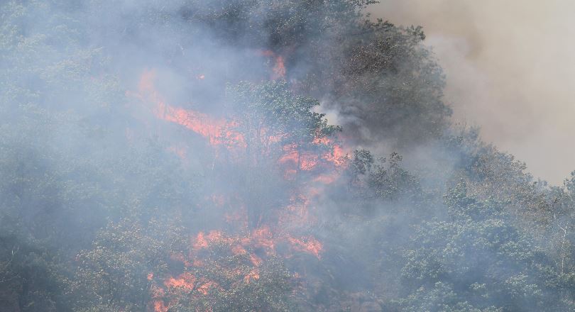 Diversi incendi nel Parco Nazionale della Val Grande