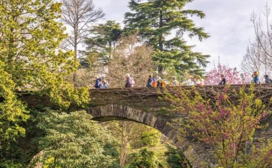 “Gli angoli segreti del giardino”, domenica 30 agosto visita guidata ai giardini di Villa Taranto con il curatore botanico Fabrizio Buttè