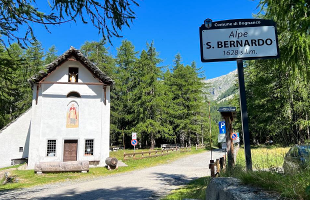 Alpe San Bernardo : ritrovata illesa la cercatrice di funghi