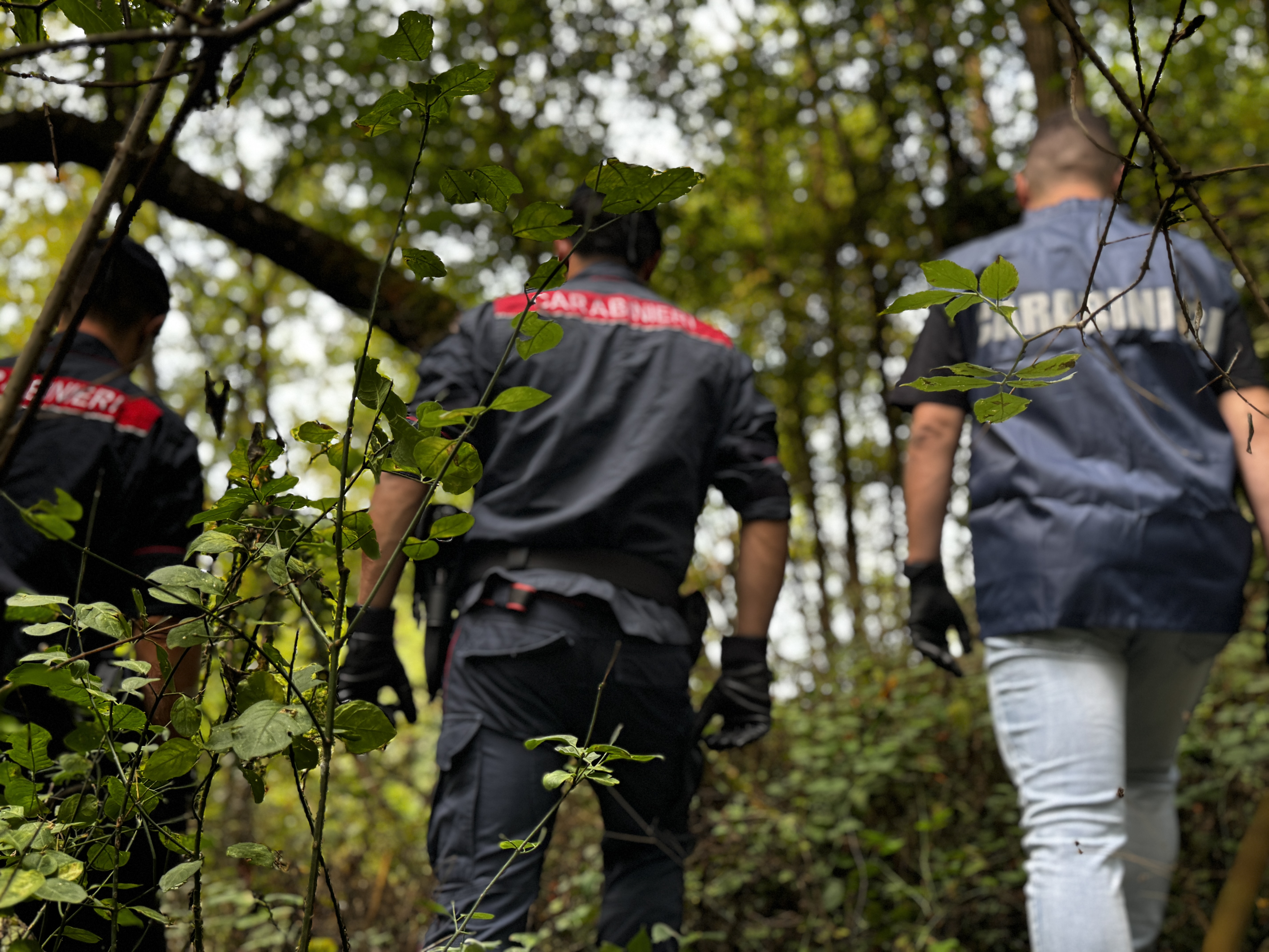 Ricercato per tentato omicidio si nascondeva nei boschi di Oleggio. E' stato arrestato dai Carabinieri durante un blitz antidroga
